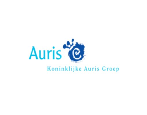 Logo Auris groep