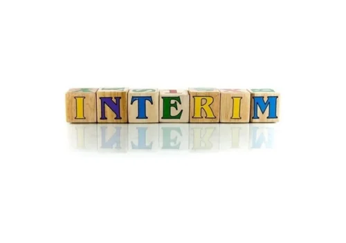 interim logo